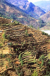 We look out over a multitude of terraces and villages.