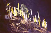 Prayer Flags in the Wind