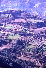 Terraces above the Dudh Khosi