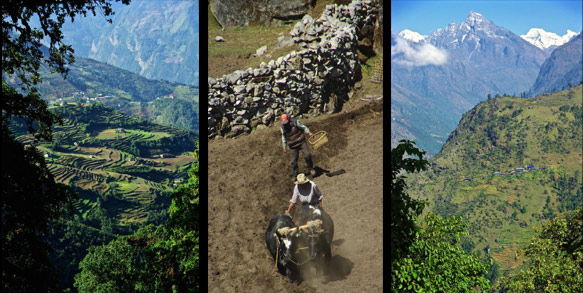 Khumbu pastoral